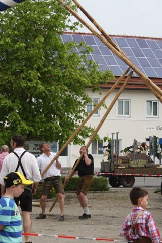 Maibaum 2013